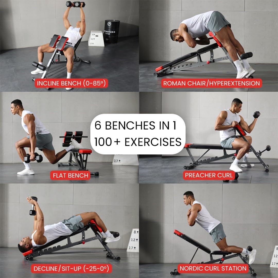 Finer Form FID Weight Bench — Fully Customizable to Any Body Build